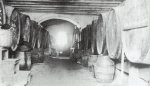 Interior del celler de can Puig (1928)